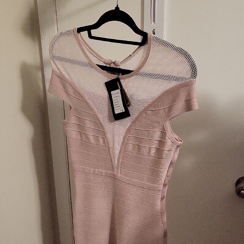 Alberto Makali Pink Mesh Dress